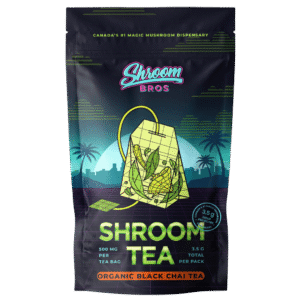 Magic Mushroom Tea - Organic Black Chai Tea