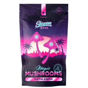 Natalensis Magic Mushroom