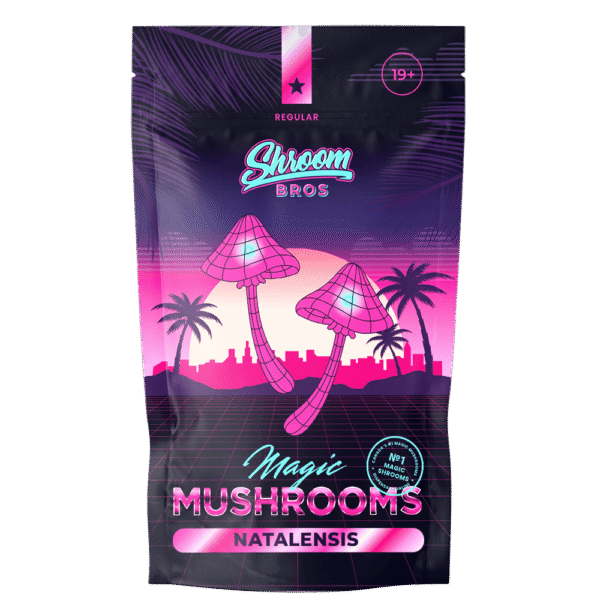 Natalensis Magic Mushroom
